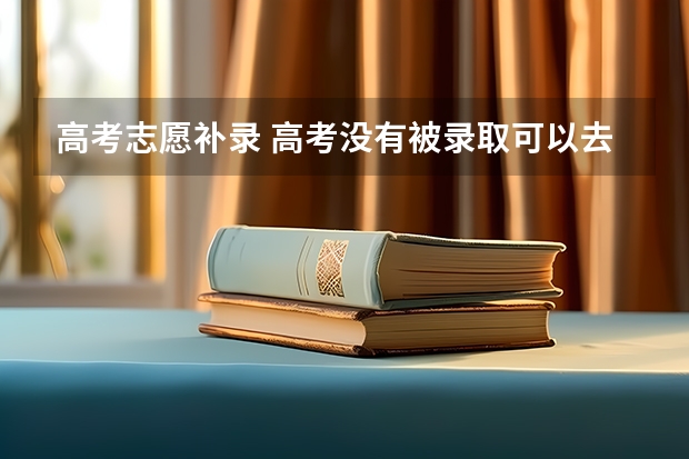 高考志愿补录 高考没有被录取可以去补录吗？