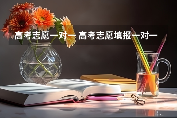 高考志愿一对一 高考志愿填报一对一辅导的费用大概什么价格？