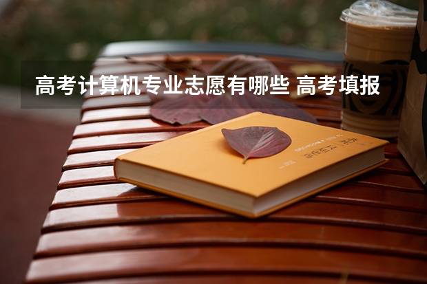高考计算机专业志愿有哪些 高考填报志愿时，计算机科学与技术这个专业该选哪个大学？