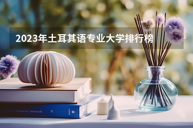2023年土耳其语专业大学排行榜