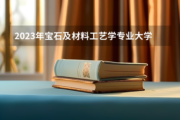 2023年宝石及材料工艺学专业大学排行榜