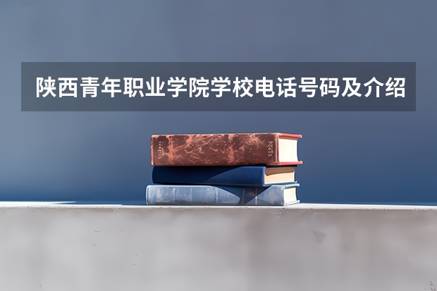 陕西青年职业学院学校电话号码及介绍
