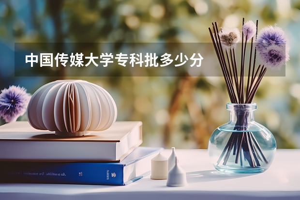 中国传媒大学专科批多少分