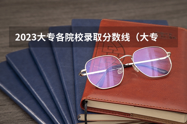 2023大专各院校录取分数线（大专各个学校分数线）