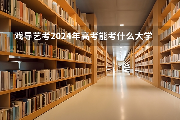 戏导艺考2024年高考能考什么大学？