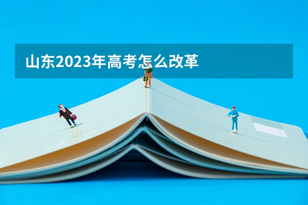 山东2023年高考怎么改革