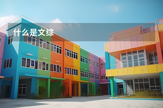 什么是文综