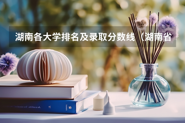 湖南各大学排名及录取分数线（湖南省内专科排名及分数线）