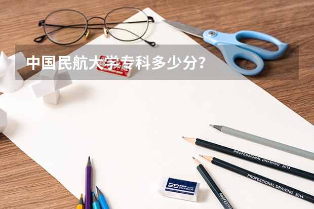 中国民航大学专科多少分?