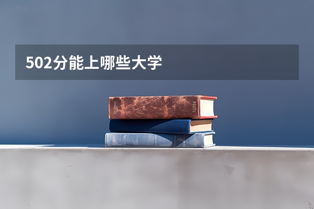 502分能上哪些大学