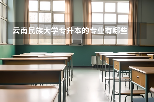 云南民族大学专升本的专业有哪些