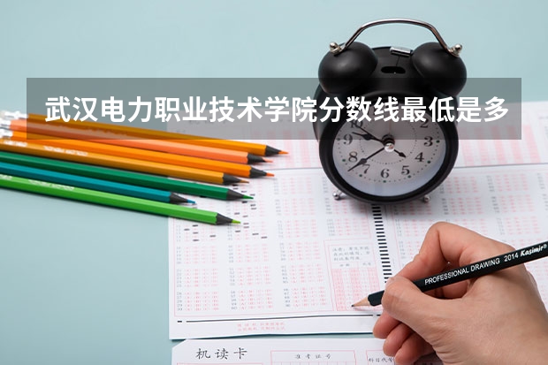 武汉电力职业技术学院分数线最低是多少