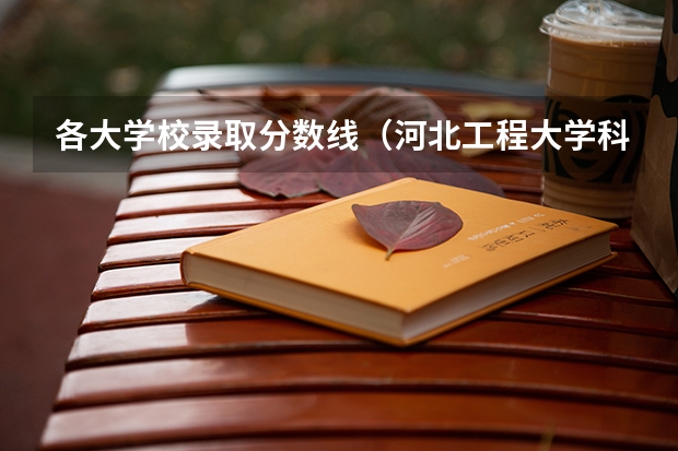 各大学校录取分数线（河北工程大学科信学院录取分数线）