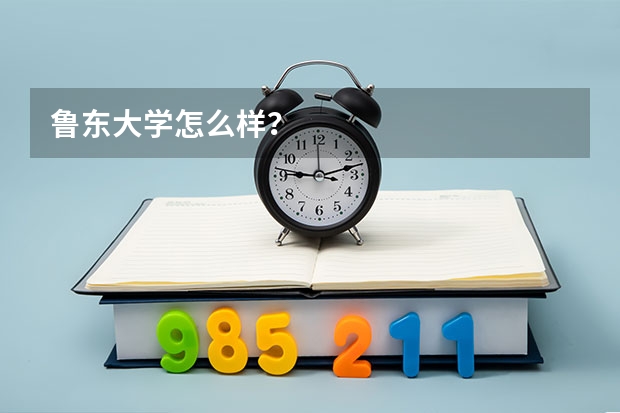 鲁东大学怎么样？