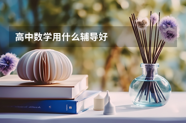 高中数学用什么辅导好