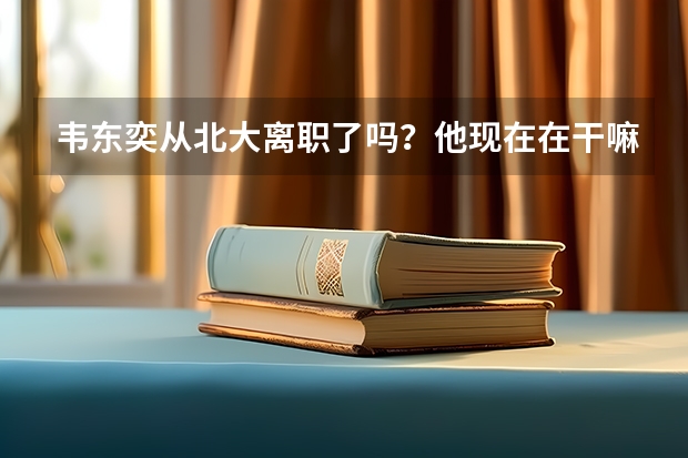 韦东奕从北大离职了吗？他现在在干嘛？
