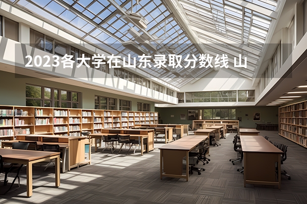 2023各大学在山东录取分数线 山东大学专升本录取分数线