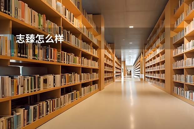 志臻怎么样
