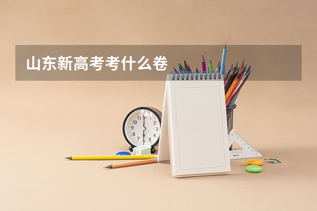 山东新高考考什么卷