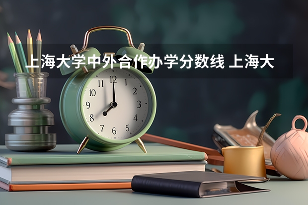 上海大学中外合作办学分数线 上海大学设计专业录取分数线