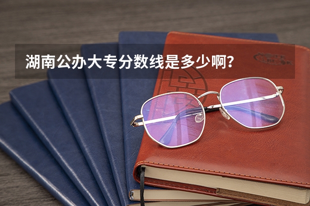 湖南公办大专分数线是多少啊？
