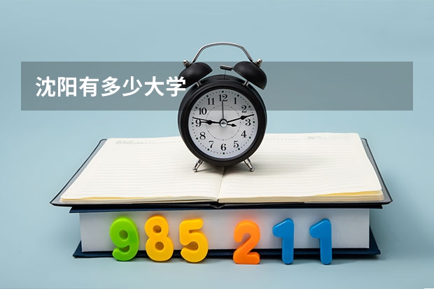 沈阳有多少大学