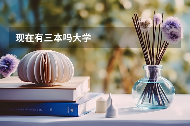 现在有三本吗大学