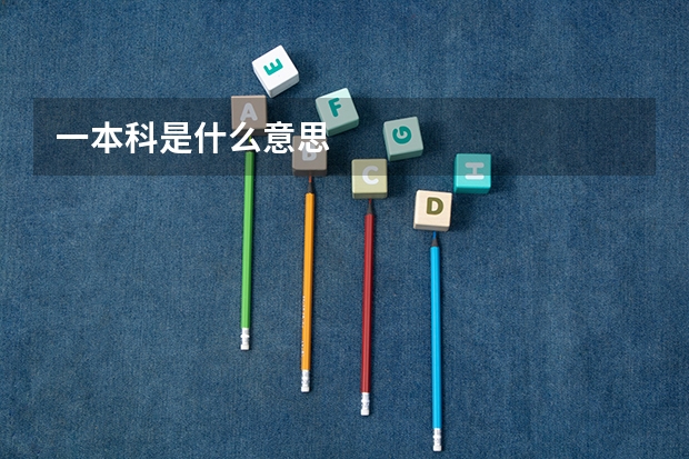 一本科是什么意思