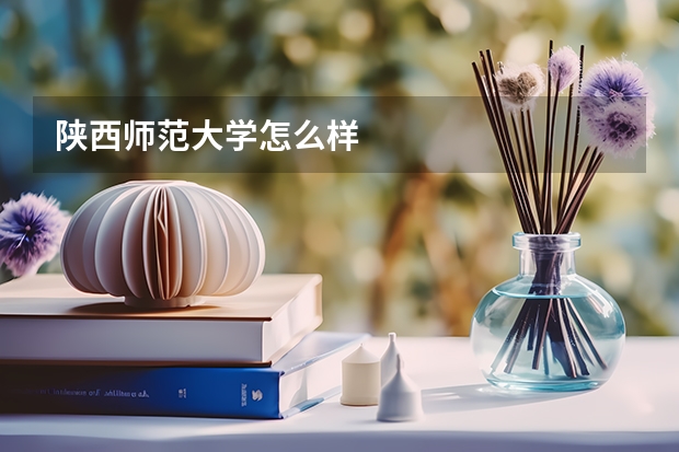 陕西师范大学怎么样
