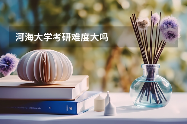 河海大学考研难度大吗