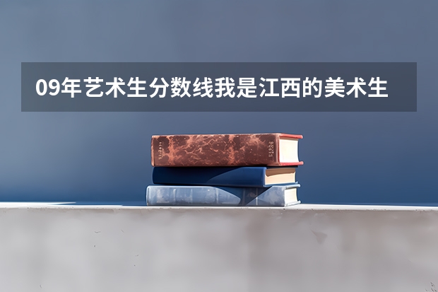 09年艺术生分数线我是江西的美术生,专业175文化276,能上什么学校?