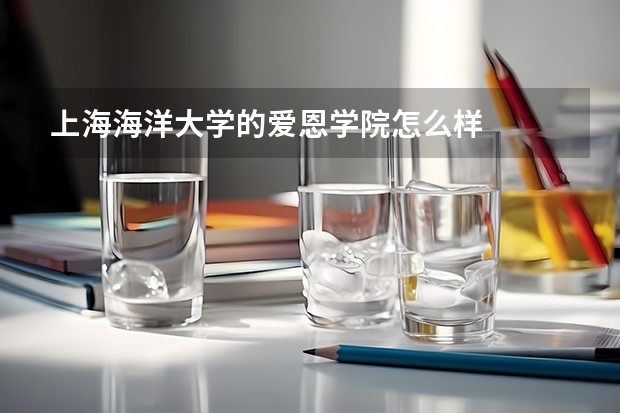 上海海洋大学的爱恩学院怎么样