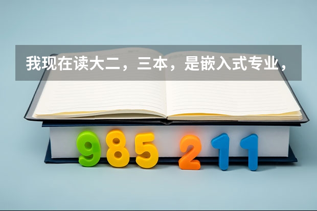 我现在读大二,三本,是嵌入式专业,现在想出国留学,家里是工薪阶层,爱尔兰和德国哪个更适合我?