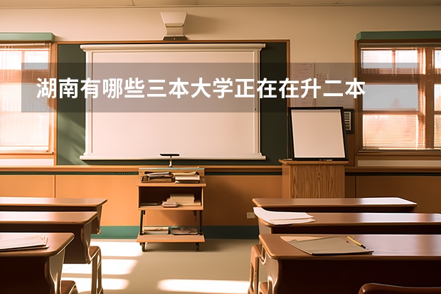 湖南有哪些三本大学正在在升二本