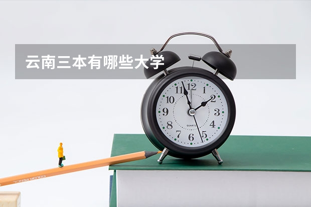云南三本有哪些大学