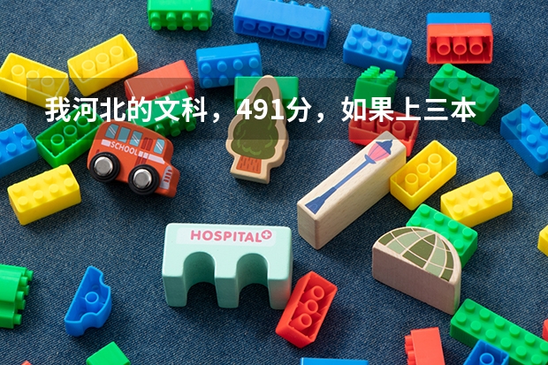 我河北的文科,491分,如果上三本上省内还是省外的好啊?报省内的话,那些学校好呢?帮帮忙。。。。