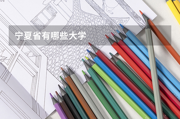 宁夏省有哪些大学