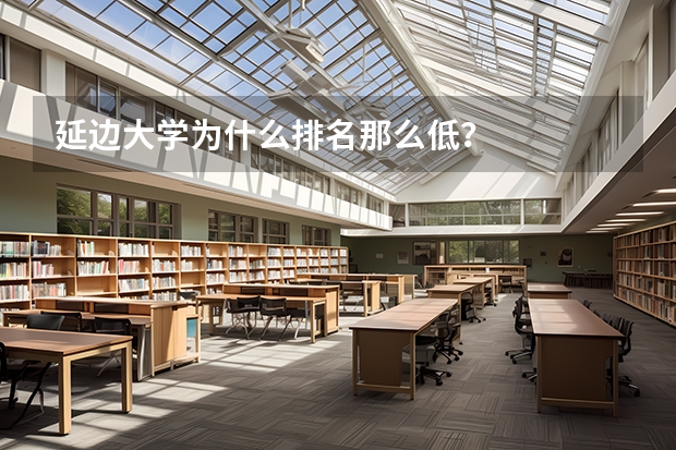 延边大学为什么排名那么低？
