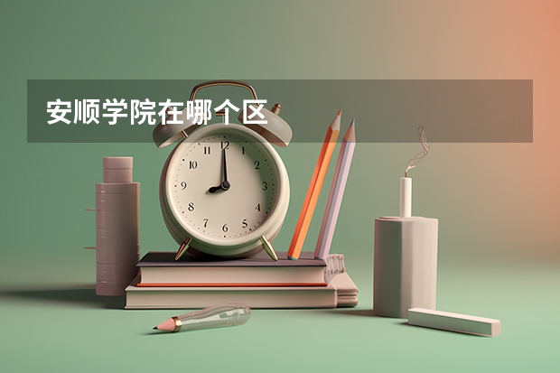 安顺学院在哪个区