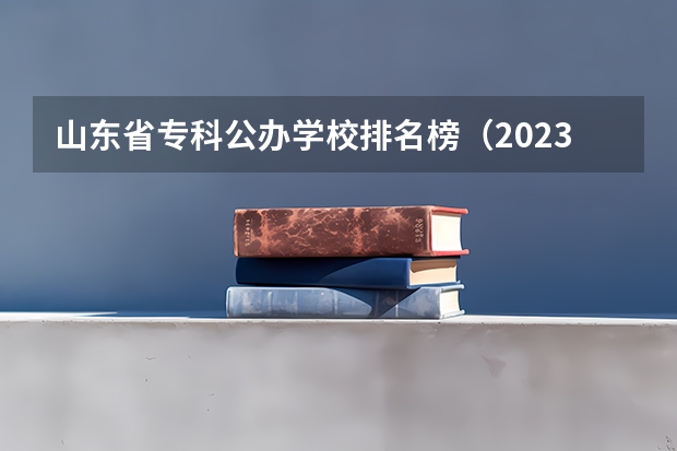 山东省专科公办学校排名榜（2023河北最好的公办专科学校排名）