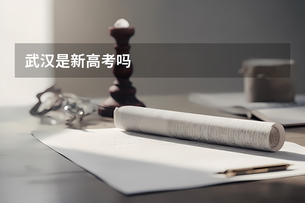 武汉是新高考吗