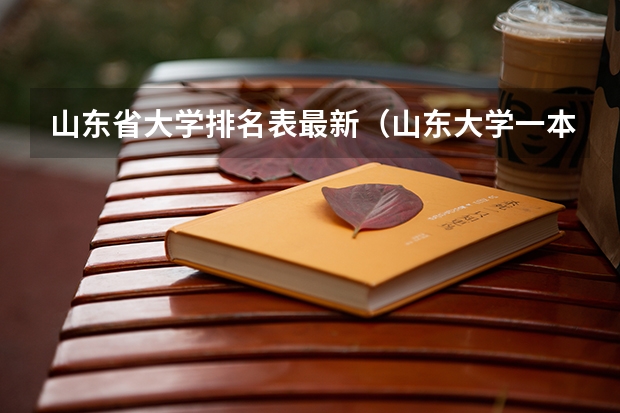 山东省大学排名表最新（山东大学一本院校排名）