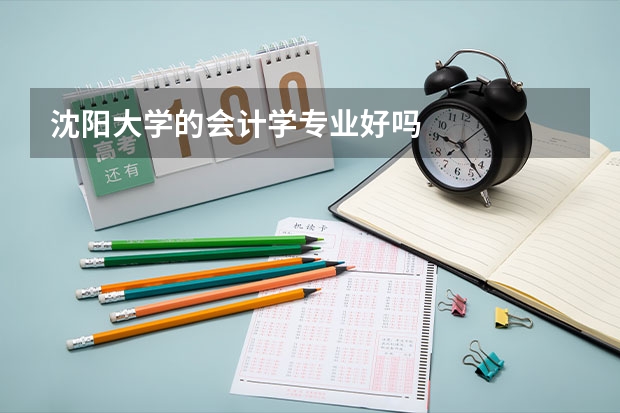 沈阳大学的会计学专业好吗