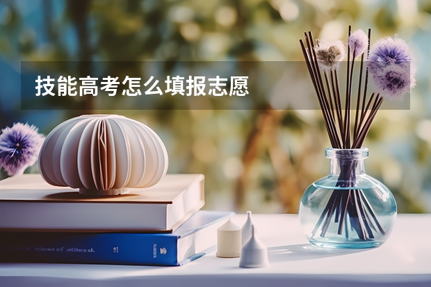 技能高考怎么填报志愿