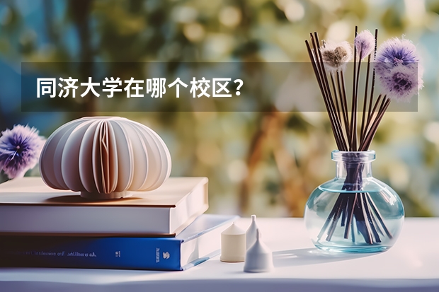 同济大学在哪个校区？