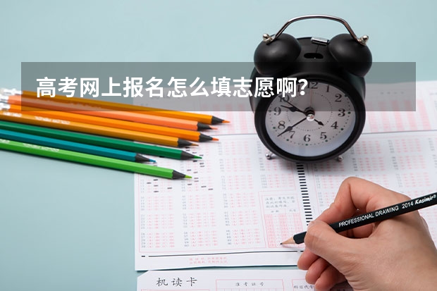 高考网上报名怎么填志愿啊？