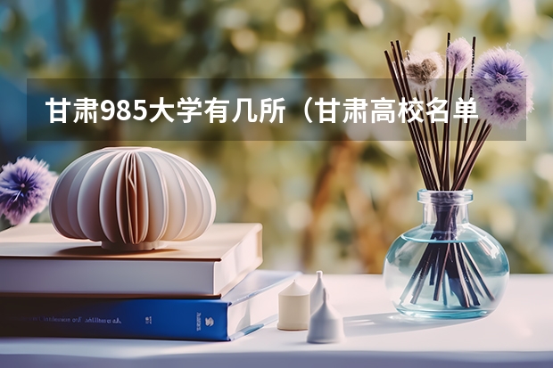 甘肃985大学有几所（甘肃高校名单）