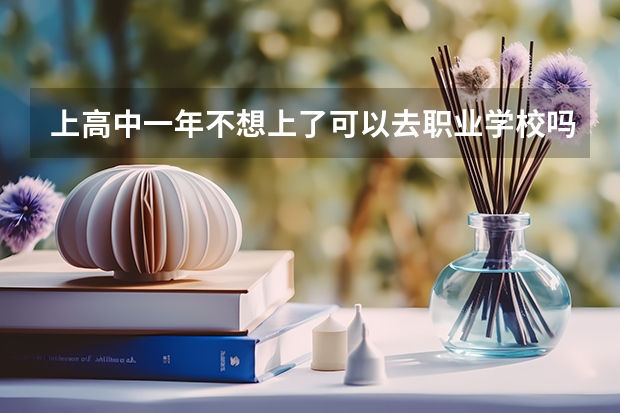 上高中一年不想上了可以去职业学校吗。需要怎么样才可以去？