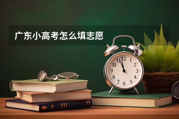 广东小高考怎么填志愿