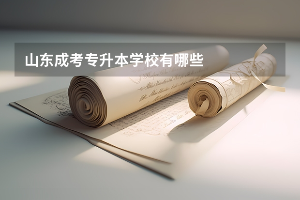 山东成考专升本学校有哪些